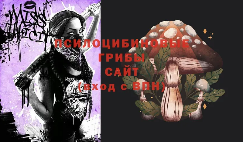 mega ТОР  Спасск-Рязанский  Галлюциногенные грибы Psilocybe  купить наркотики сайты 